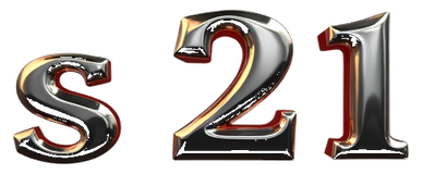 s 21 logo